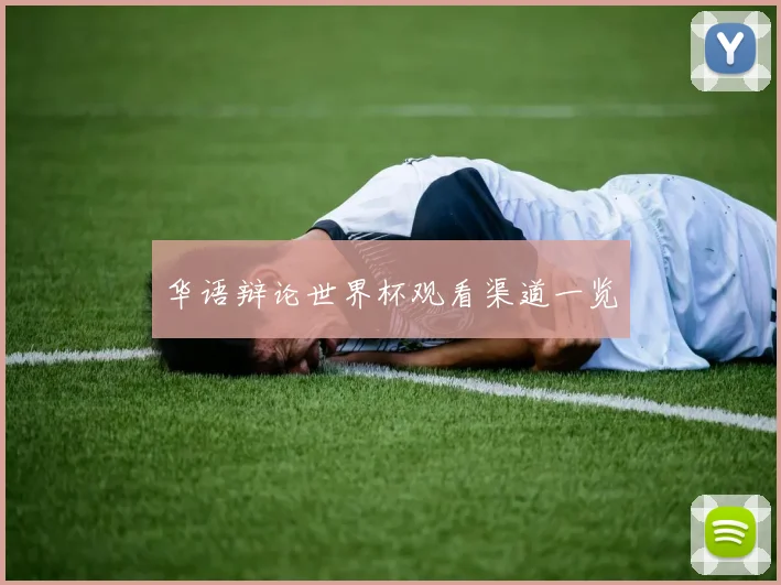 华语辩论世界杯观看渠道一览