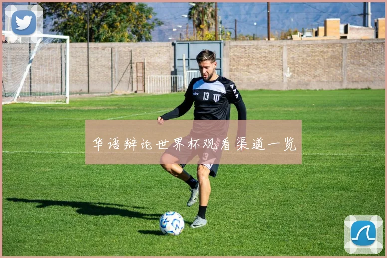 华语辩论世界杯观看渠道一览