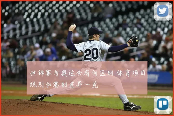 世锦赛与奥运会有何区别 体育项目规则和赛制差异一览