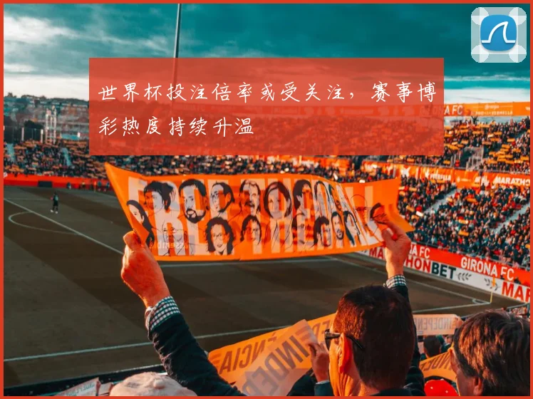 世界杯投注倍率或受关注，赛事博彩热度持续升温