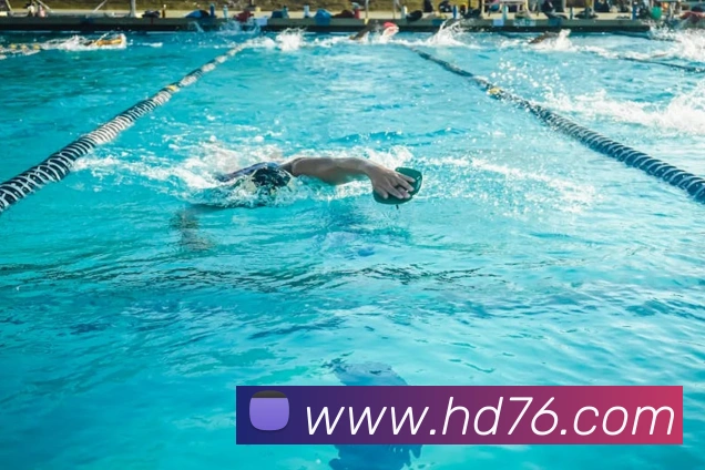 爱游戏ayx在线登录入口服务体系